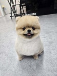 멍했냥 평택본점