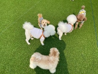 멍데이유치원