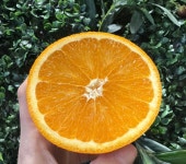 우리동네국민상회 힐스자이계양점