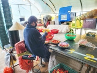 김해한림수출딸기영농조합법인