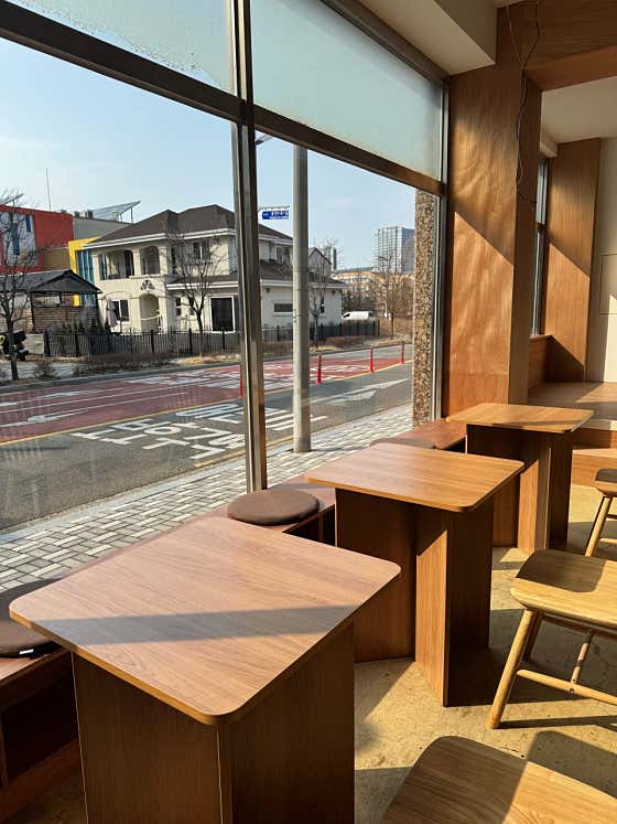 로제타 사진