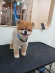 예쁘댕