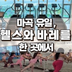 바디프로짐 PT 헬스