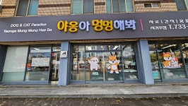 야옹아 멍멍해봐 서귀포점