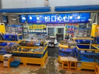 안면도바다수산