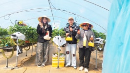 김해한림수출딸기영농조합법인