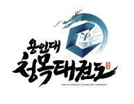 용인대청목태권도