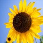 코알라에듀리드앤톡영어보습학원