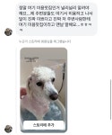 말랑말랭