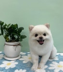 멍나들이