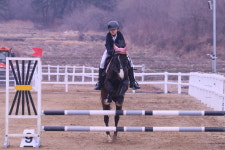 보령시승마센터