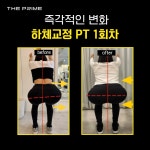 더프라임헬스&PT 신당