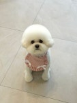 멍피스