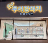 대전 강아지 분양 우리 강아지