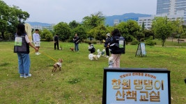펫빌리지 반려동물 문화센터