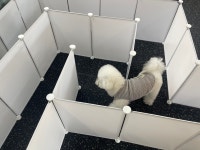 멍데이유치원