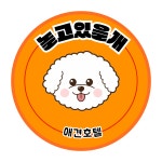 놀고있을개 애견유치원 & 애견호텔