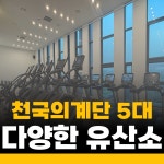해머하우스 별내점 헬스PT