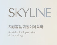 스카이라인의원