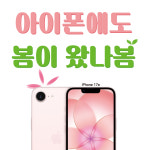 KT 다래 부천북부역점