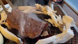 숲속한우마을