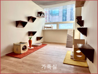 운정고양이호텔