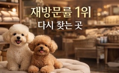 오독안심분양센터 강아지분양 고양이분양 목동점