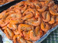 산천초목