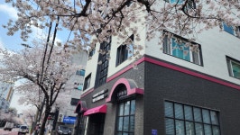 카페 더 칼라