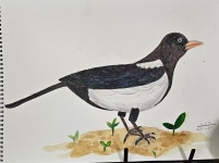 재미공 독서미술