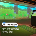 위너3D골프연습장