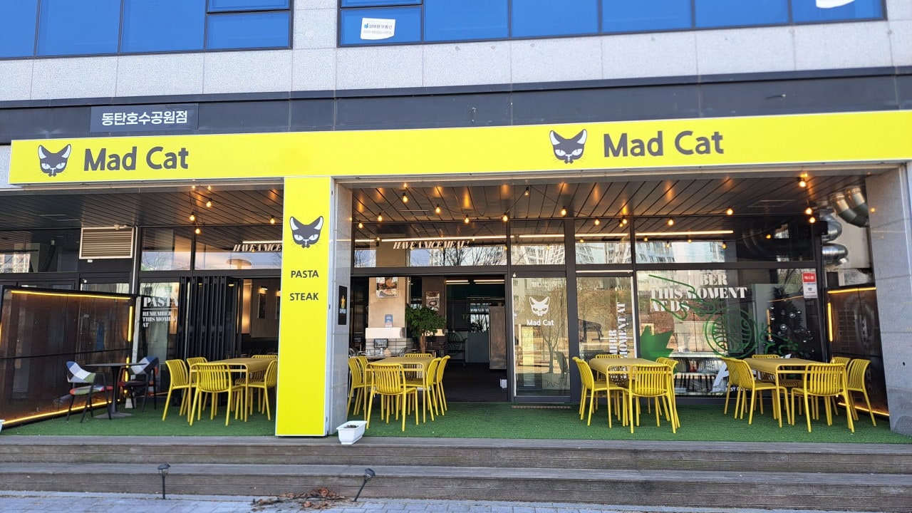 매드캣
