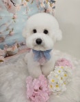 멍몽s