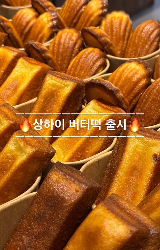 빵그램 사진