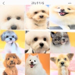 금동살롱