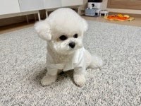 연세세현내과의원