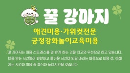 꿀강아지테리하우스