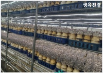 미미청아랑농업회사법인