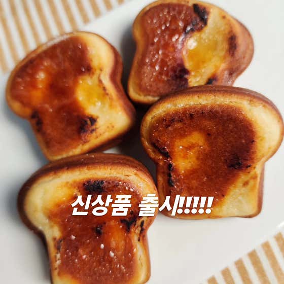 텐브라운 사진