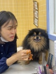 개예쁨