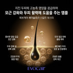 셀럽앤뷰티인셀덤 | 인셀덤앤토탈뷰티