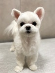까까독아산애견미용아산애견호텔