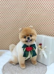 비바시티