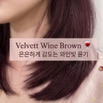 라라헤어스토리(RARA헤어스토리) | 라라헤어염색
