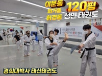 경희대박사태산태권도
