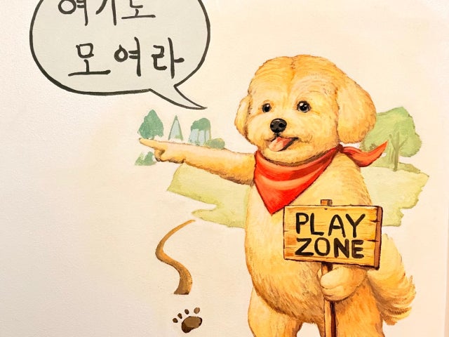 돈워리독