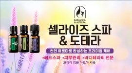 셀라이즈스파
