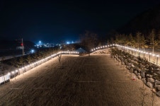 이숲캠핑장