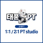 태풍PT 교대법원점