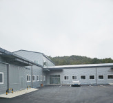 콧털삼촌